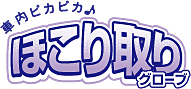 車内ピカピカ♪ほこり取りグローブ