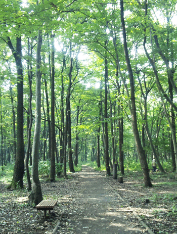 相模原市