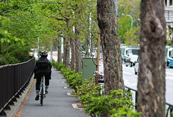 道路交通法改正